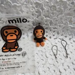 2025年最新】マイロ エイプの人気アイテム - メルカリ