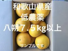 和歌山県産・低農薬・八朔7.５kg以上