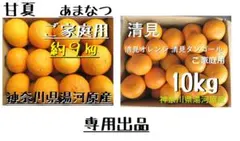 デメ子様 専用　清見10キロ　甘夏９キロ　セット