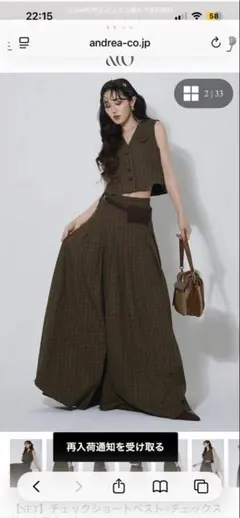 ANDREA＆Co. チェック柄クロップトップ＆ロングスカートセット