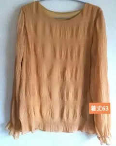 レディースベージュ 長袖チュニック FREEサイズ