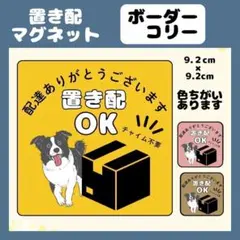 【ボーダーコリー】屋外用マグネット　置き配　宅配ボックス　玄関　防水
