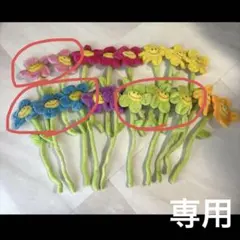 めめちん様 専用