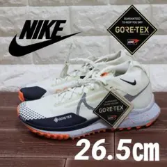 ナイキ トレイル リアクト ペガサス トレイル 4 GTX V2 27cm - メルカリ