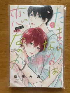 たまらないのは恋なのか 5巻　特装版　本のみ