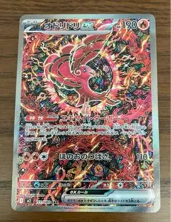 24時間以内発送可能 オドリドリex SAR 1枚