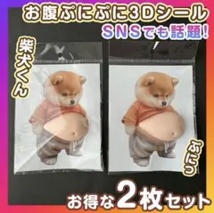 柴犬おなか ぷにぷにシール もっちり 3Dステッカー 2枚 ぷっくり柴犬 韓国