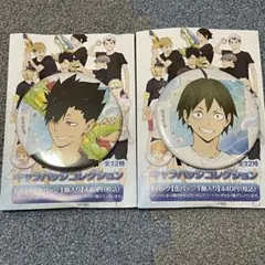 ハイキュー！！ 黒尾 山口 キャラバッジコレクション 水遊びVer. 2025