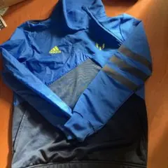 Item thumbnail for item 808a9bfa-ca48-4da1-8c6b-2afcd60e89eb