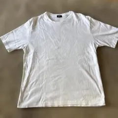 【美品】ビームスF Brilla per il gustoホワイト Tシャツ