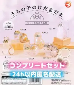 新品】未使用 匿名発送 ブライトリンク ガチ 全6種フルコ