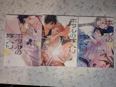 ホタルの嫁入り 1~3巻セット