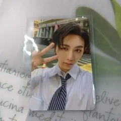 テサン トレカ how