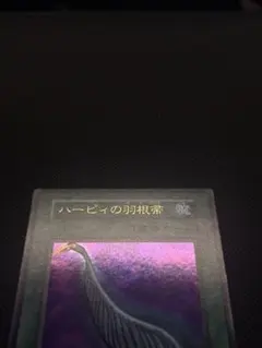 2026年最新】ハーピィの羽根帚 初期の人気アイテム - メルカリ