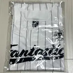 【即日発送可・即決有】FANTASTICS FWY アップグレード グッズ