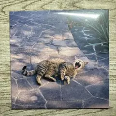 2025年最新】The奥歯sの人気アイテム - メルカリ