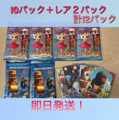 イタリアンブレインロット　 12パックセット