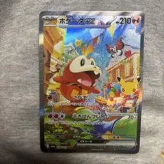 ポケモンカード ホゲータex SAR