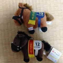 サラブレッドコレクション