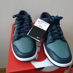 ナイキダンクロー