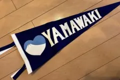 Item thumbnail for item 897b53b8-d2e4-43a1-a60c-c1a5866e2e50