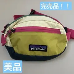 肩がけ・斜めがけ可能な可愛いウエストパック❣️パタゴニア マルチ 