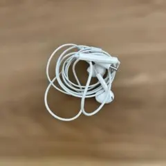 Apple USB Type-C 有線イヤホン ホワイト