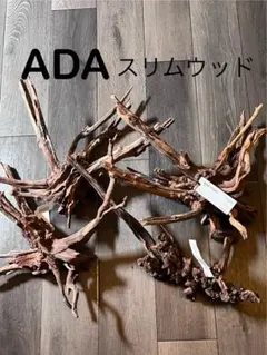 2026年最新】ADA水槽 45の人気アイテム - メルカリ