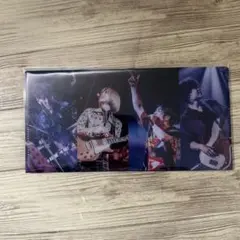 Official髭男dism スタジアムライブメモリアルチケット クリアファイル Official髭男dism スタジアムライブメモリアルチケット クリア
