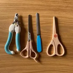 Item thumbnail for item 0fdf7fe8-7357-406e-8e18-1725cbcc3564