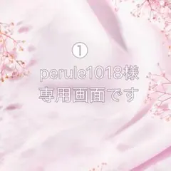perule1018様　専用画面です①