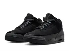 【期間限定品】 Air Jordan 3 Retro "Black Cat"