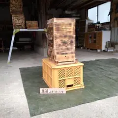 Item thumbnail for item f0e92281-9ed8-4a93-8996-728b4f58fdde