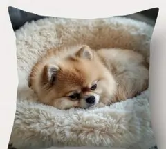 Item thumbnail for item a19d1c68-a800-4364-9382-259f945d9da5