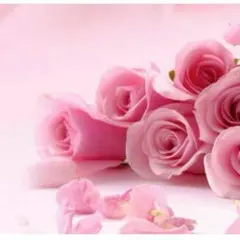 ☆ココ☆ 購入検討時プロフ必読！様 リクエスト 2点 まとめ商品