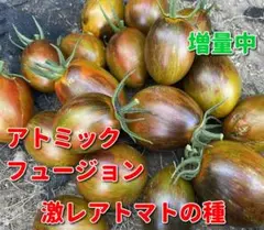 みらりん様 リクエスト 5点 まとめ商品