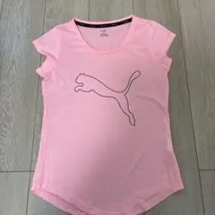 トレーニング パフォーマンス ヘザーキャット Tシャツ シーズン ウィメンズ