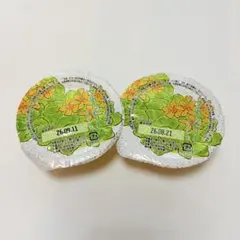 六花亭　フルーツゼリー オレンジ 2個セットのサムネイル