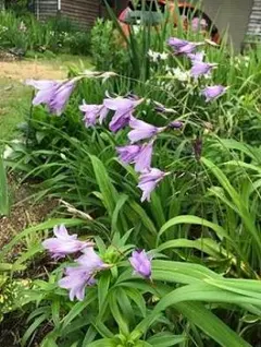 rui様 リクエスト 3点 まとめ商品