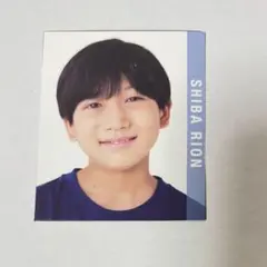 Myojo 明星 デタカ 厚紙 データカード カード 芝理音