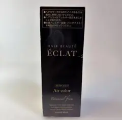 ÉCLAT エアカラー ダークブラウン - メルカリ