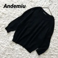 【アンデミュウ】 長袖ニット アンゴラ混 セーター クルーネック ドルマン