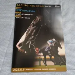 レーシングプログラム