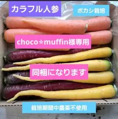 choco⭐︎muffin様専用です。ボカシ栽培の農薬不使用野菜詰め合わせ