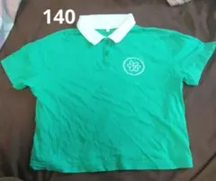 襟付き トップス