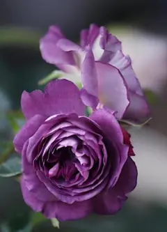 メイʕ•ᴥ•ʔ様 リクエスト 3点 まとめ買リピ割あり