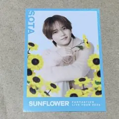 中島颯太 フォトカ