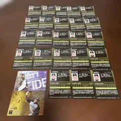 阪神タイガース　2016 カード baseball magazine