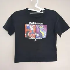 ポケモン Tシャツ コライドン ミライドン 120