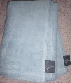 育てるタオル　グラン(バスタオル)　バスタオル 2枚セット　フォグブルー